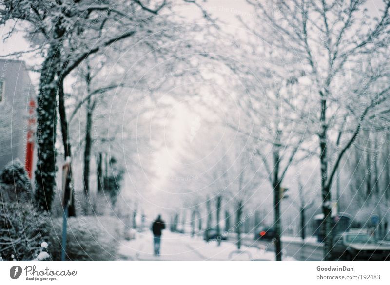 Analoger Wintertraum Schnee Mensch maskulin Mann Erwachsene 1 Himmel Wolken Wetter Nebel Baum Straßenverkehr beobachten träumen authentisch Ferne Unendlichkeit