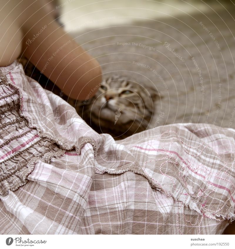 katze streicheln. aber katze will nicht. Spielen Kind Tierliebe Leben gefährlich Kleid Stoff falschherum Arm Katze anfauchen Vorsicht Gedeckte Farben Tag