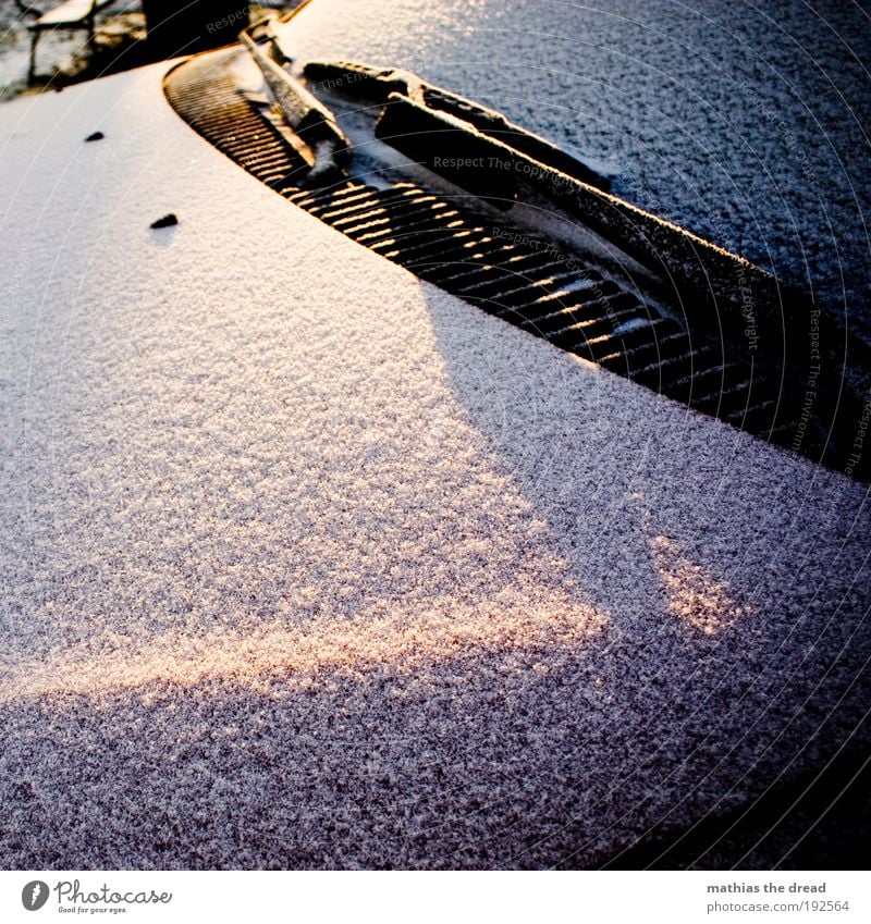 SONNE vs. SCHNEE Umwelt Natur Sonnenaufgang Sonnenuntergang Winter Eis Frost Schnee Verkehr Autofahren Fahrzeug PKW Coolness kalt Motorhaube Windschutzscheibe