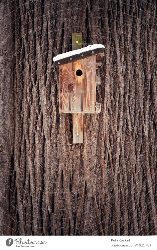 #AS# Kuckuck! Kunst ästhetisch Futterhäuschen Holz Baum Naturschutzgebiet Umweltschutz Winter Haus Wohnung Häusliches Leben Baumrinde Farbfoto mehrfarbig