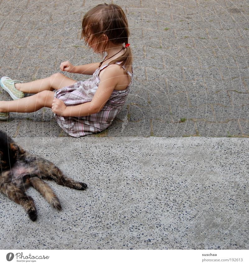 katzen und kinder .. Kind Mädchen Kindheit Haare & Frisuren Tier Haustier Katze Hauskatze Fell Beton einfach natürlich Freude Tierliebe Leben Idylle Arme Beine