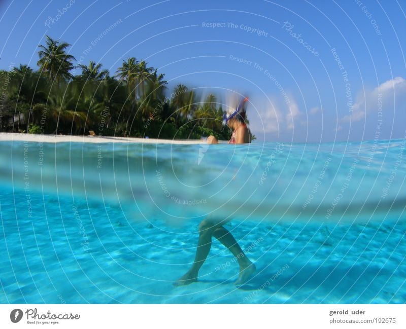 Woman in lagoon on tropical island Ferien & Urlaub & Reisen Abenteuer Ferne Freiheit Sommer Sommerurlaub Strand Meer Insel Wellen Wassersport 1 Mensch Küste