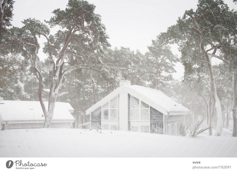 Schnee vor der Hütte Ferien & Urlaub & Reisen Winterurlaub Häusliches Leben Haus Umwelt Natur Himmel Wolkenloser Himmel schlechtes Wetter Wind Eis Frost Baum