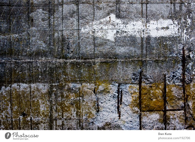 Betonierte Sumpflandschaft Landschaft Urelemente Herbst schlechtes Wetter Moor Teich See Einsamkeit Natur Rettung ruhig Surrealismus Zerstörung Illusion