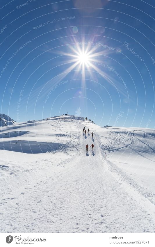 Sonnenstern - Wanderung Ferien & Urlaub & Reisen Tourismus Winterurlaub Berge u. Gebirge wandern Landschaft Wolkenloser Himmel Klima Schönes Wetter Eis Frost
