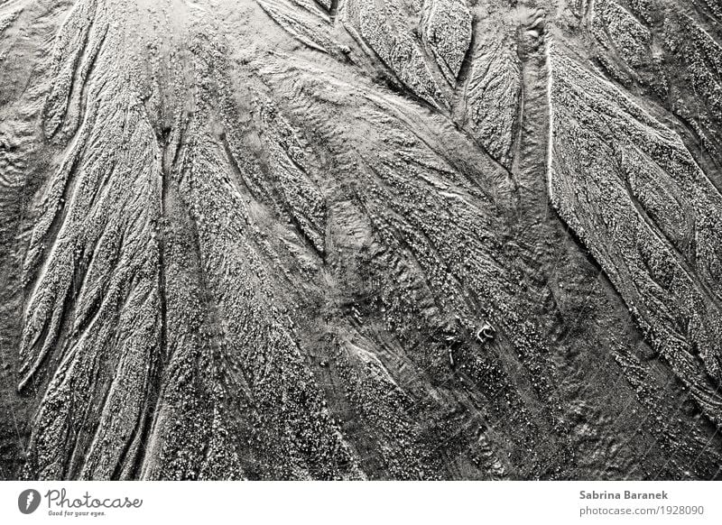 Sand II Umwelt Natur Erde Wasser Wassertropfen Nordsee Gefühle Stimmung Schwarzweißfoto Außenaufnahme Nahaufnahme Detailaufnahme abstrakt Muster