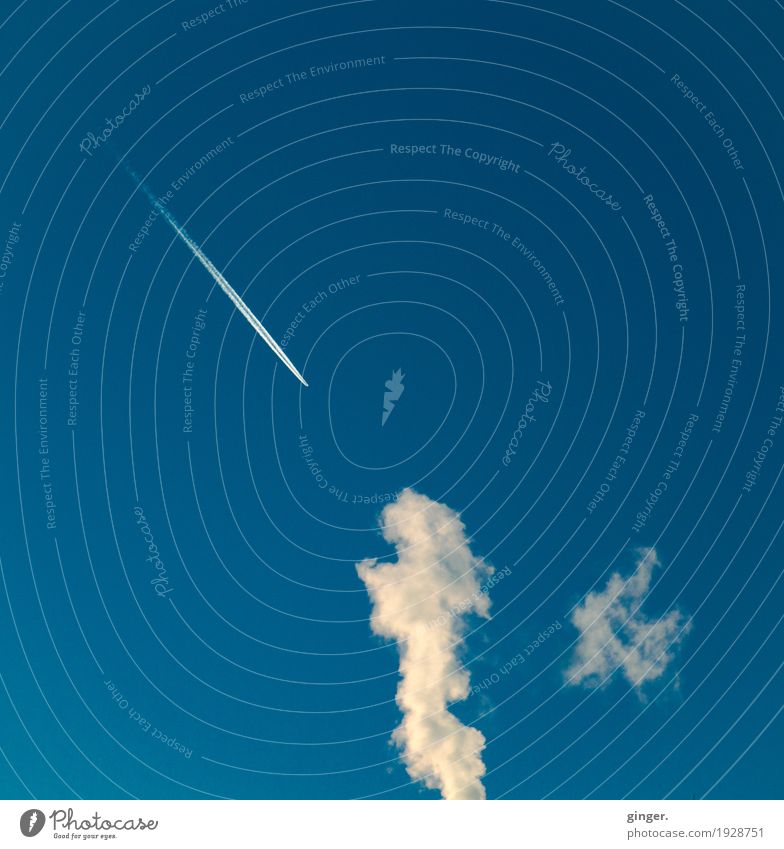 Sauerländer Himmel Luft nur Himmel Winter Schönes Wetter blau weiß Kondensstreifen Rauch hoch oben Strukturen & Formen Rauchen amorph Linie gegenüber Farbfoto