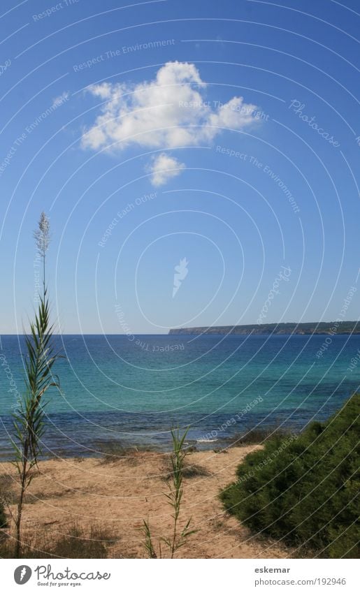 schöne Wolke Natur Landschaft Sand Himmel Sonnenlicht Sommer Schönes Wetter Pflanze Küste Strand Meer Mittelmeer Insel Formentera Balearen Spanien ästhetisch