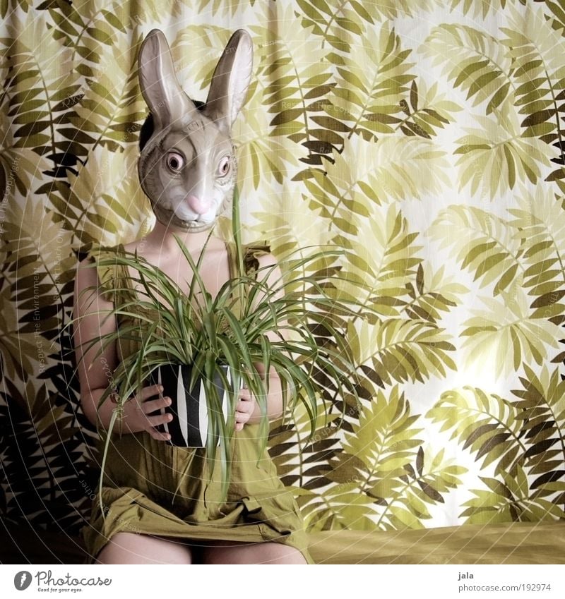 i love grünzeug Mensch feminin Frau Erwachsene Pflanze Grünpflanze Hase & Kaninchen sitzen lustig Maske Karnevalskostüm Ostern Farbfoto Innenaufnahme Tag