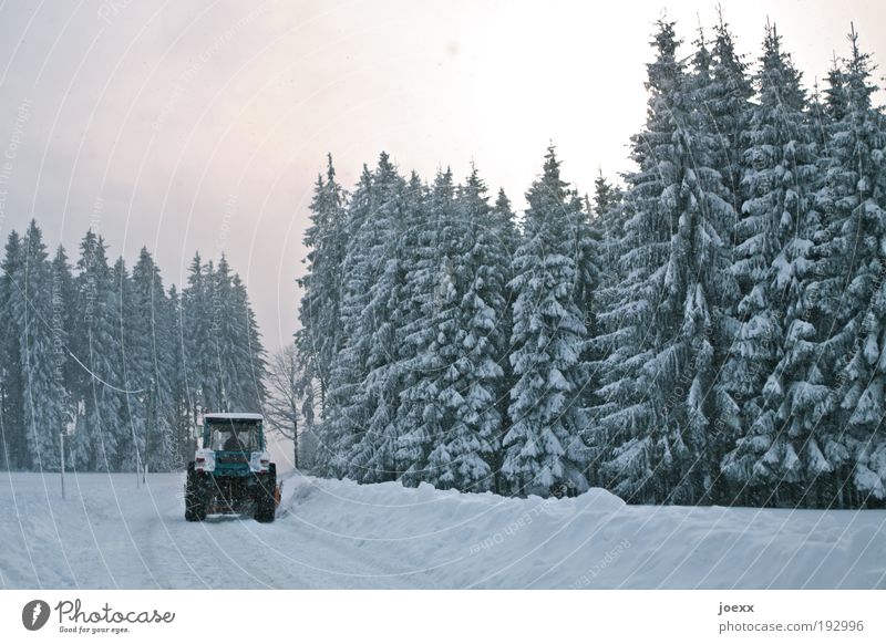 Abräumer Umwelt Natur Landschaft Himmel Winter Wetter Schnee Wald Straße Traktor Arbeit & Erwerbstätigkeit fahren kalt gewissenhaft Ordnungsliebe Trekker