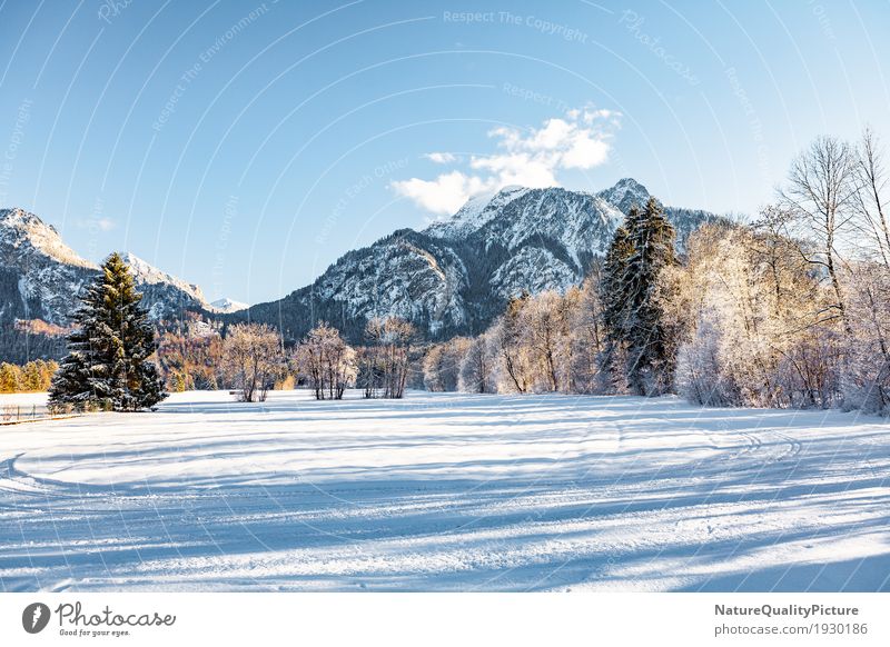 winter Winter Schnee Winterurlaub Berge u. Gebirge wandern Klettern Bergsteigen Skifahren Umwelt Natur Landschaft Pflanze Himmel Wolken Wind Eis Frost Baum Park