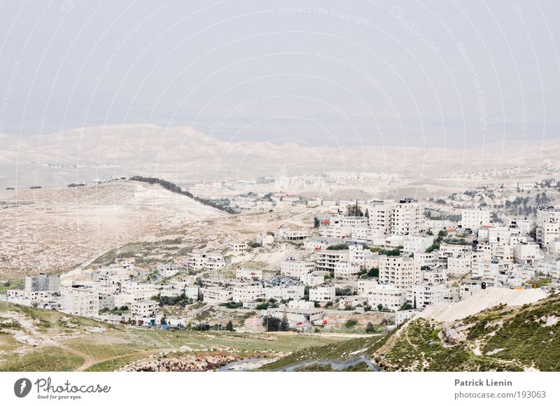 hinter der Mauer... Landschaft Entsetzen West Bank Wohnsiedlung Hügel Totes Meer Sommer karg trocken Traurigkeit eingeengt Politik & Staat Überwachung weiß