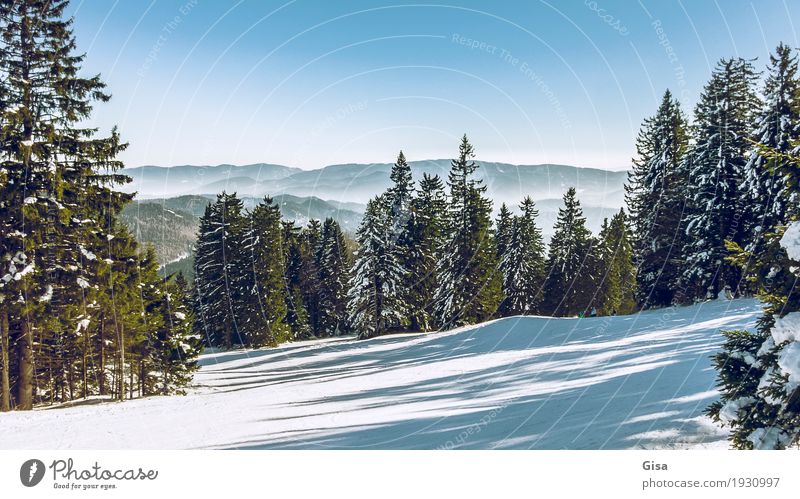 Blick vom Unterberg auf die Voralpen Schneewandern Skifahren Winter Landschaft Alpen Berge u. Gebirge Hügel frisch Sauberkeit blau grün Tourismus Blauer Himmel