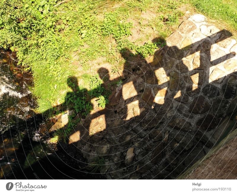 Schatten von vier Menschen an einem Brückgeländer harmonisch Freizeit & Hobby Ausflug maskulin Freundschaft Paar 4 Natur Landschaft Pflanze Wasser Sommer