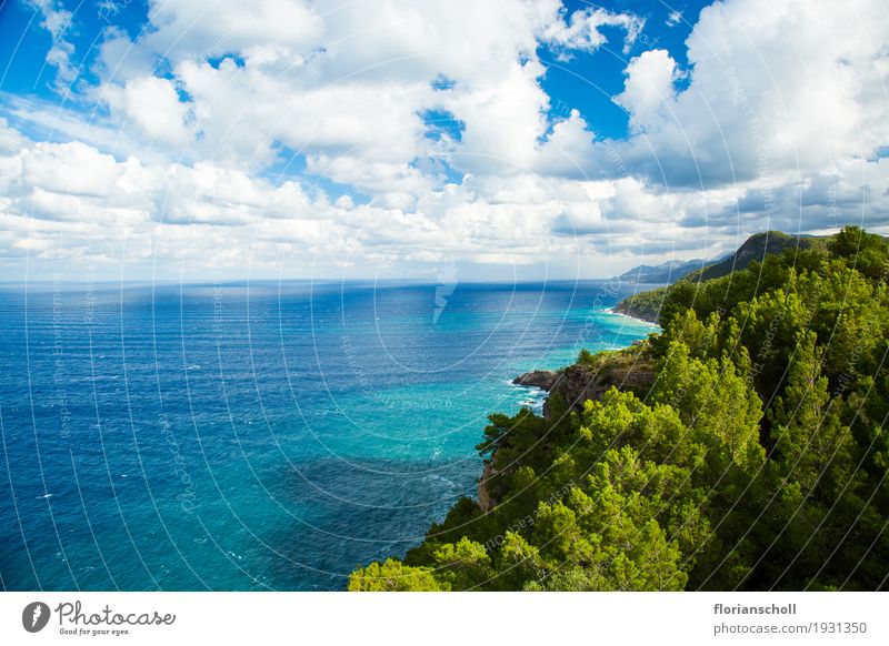 Serra de Tramuntana, Palma de Majorca Natur Landschaft Pflanze Himmel Sommer Klima Meer Insel Ferien & Urlaub & Reisen wandern Farbfoto Tag Sonnenlicht
