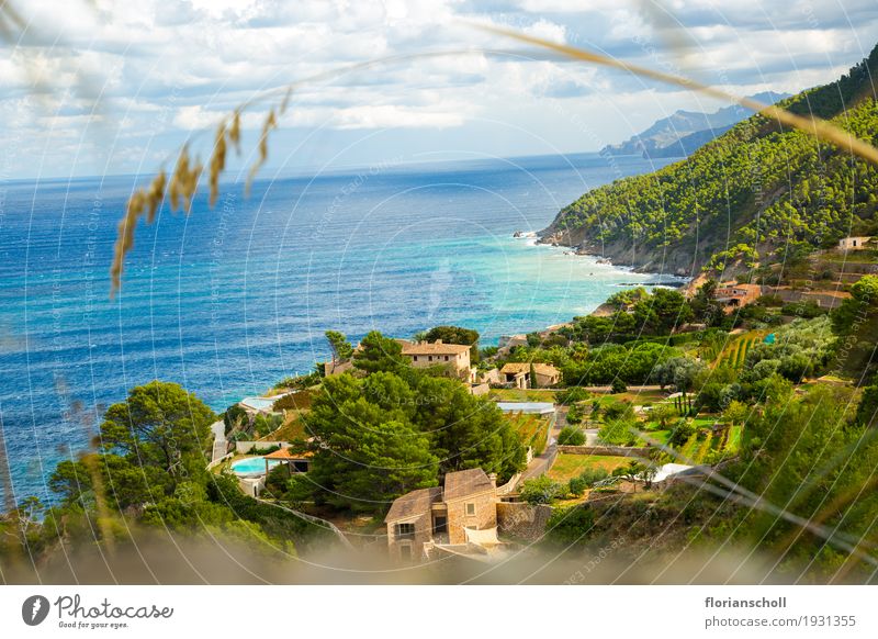 Coast line on Serra de tramuntana, Palma de Majorca Ferien & Urlaub & Reisen Tourismus Sommer Natur Landschaft Pflanze Himmel Klima Gras genießen blau gelb grün