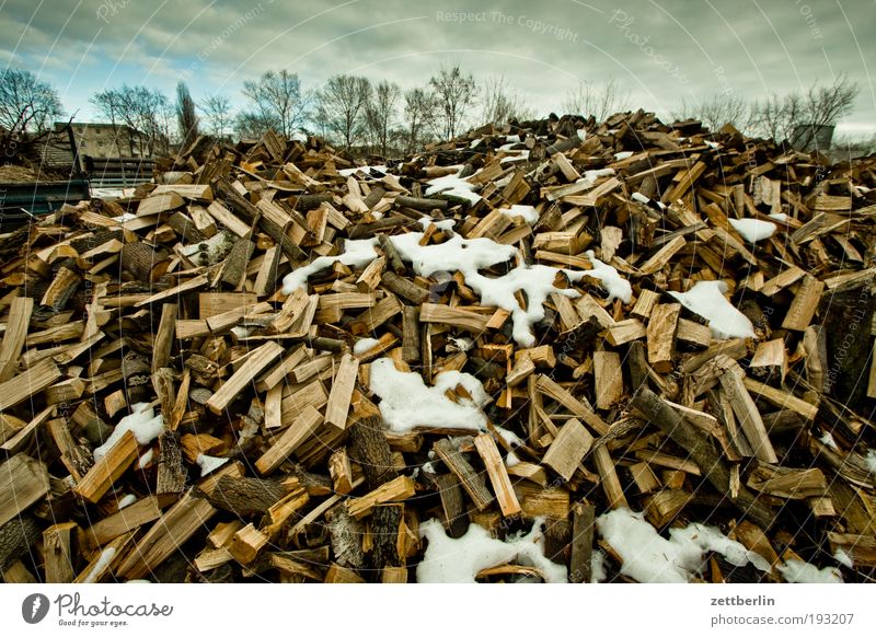 Holz scheit Brennholz heizen Heizperiode Stapel Haufen Bioprodukte Biologische Landwirtschaft Biomasse Februar mehrere