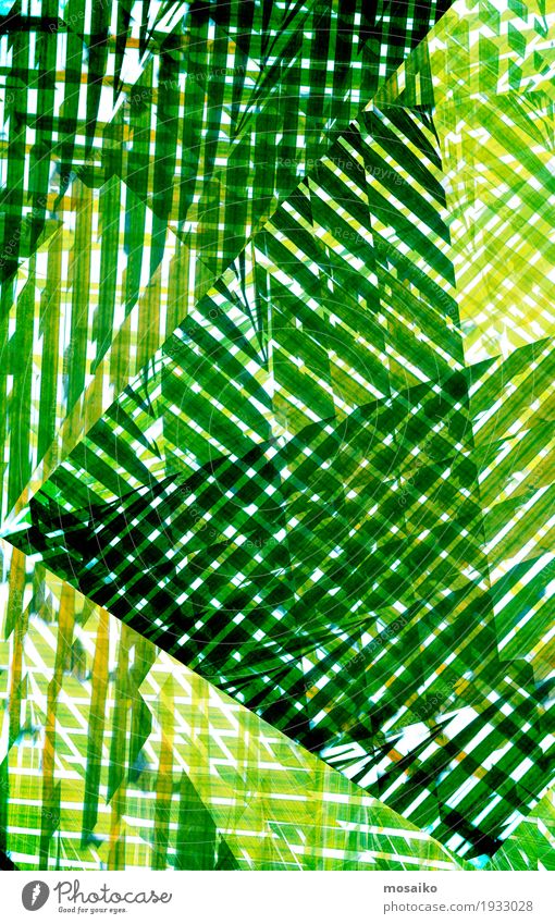 Texturen von tropischen Pflanzen Lifestyle Reichtum elegant Stil Design exotisch Leben Wohlgefühl Sinnesorgane Kunst Gemälde Natur ästhetisch natürlich grün