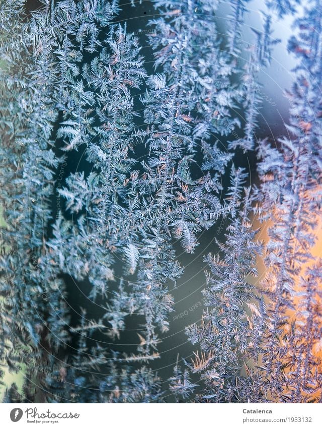 Prima Klima | zum Scheibenkratzen Natur Wasser Winter Eis Frost Autofahren PKW Glas frieren glänzend schön blau grün orange schwarz türkis bizarr Eiskristall