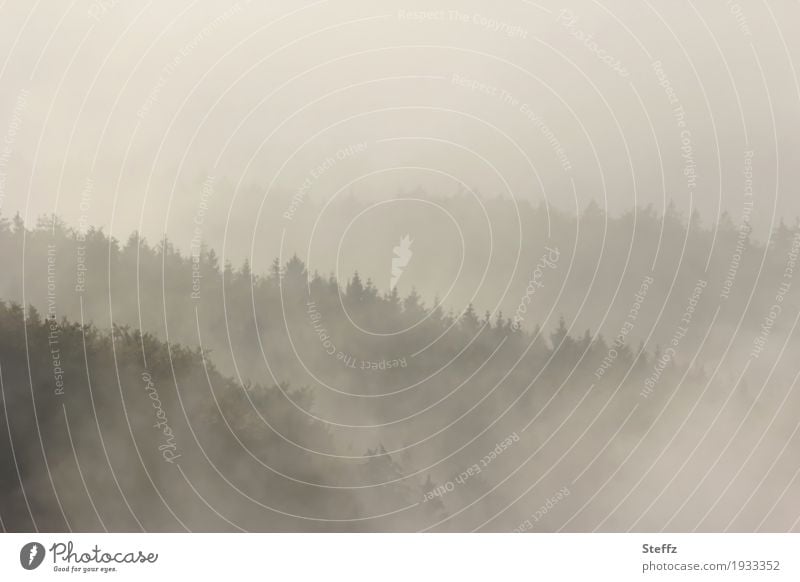 Nebelwelten Herbstnebel Morgennebel Nebelschleier Nebelwald Nebelwand Hügel Nebellandschaft trübes Wetter Nebelstimmung Nebeldecke Oktober Nebelschichten