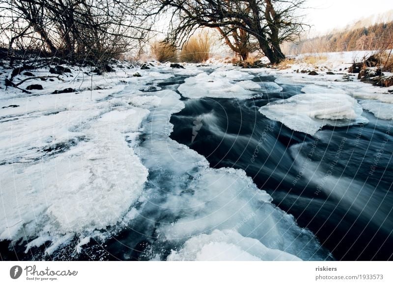 Eisbach Umwelt Natur Landschaft Pflanze Wasser Winter Schönes Wetter Frost Schnee Bach Fluss ästhetisch natürlich wild blau weiß Rauschen Strömung Farbfoto