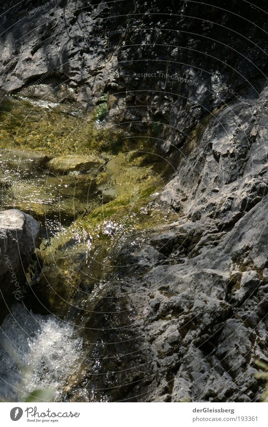 visuelle Erfrischung Natur Wasser Sommer Felsen Alpen Schlucht Bach grau grün weiß fließen Geschwindigkeit Farbfoto Außenaufnahme Detailaufnahme Menschenleer