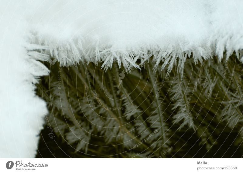 Rahmenbedingungen Umwelt Natur Winter Klima Klimawandel Eis Frost Schnee Kristalle kalt natürlich Ecke eingerahmt umrandet mehrschichtig Niveau Eiskristall