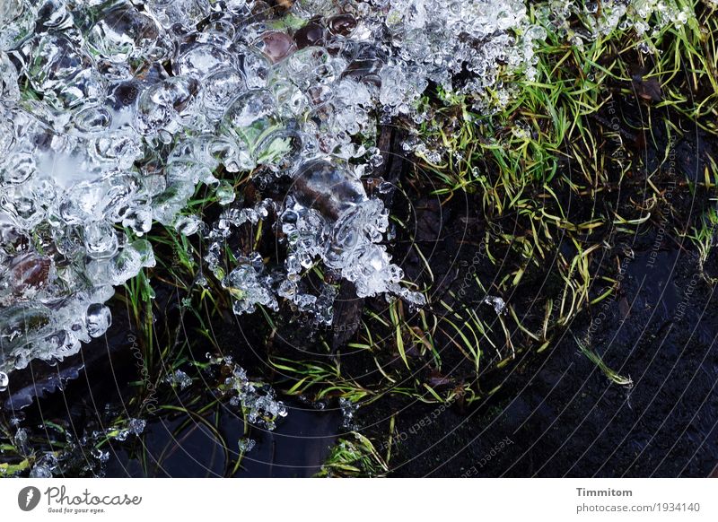 Nasskalt (1/2). Umwelt Natur Urelemente Wasser Winter Eis Frost Pflanze Gras Bach frieren dunkel grau grün schwarz Strukturen & Formen Glätte Farbfoto