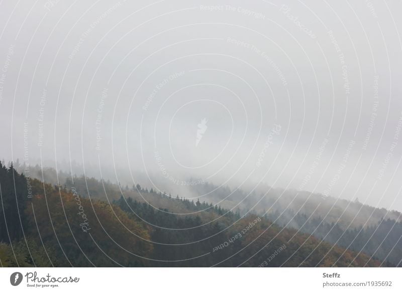 prima Klima | Nebelwelt Nebelschleier Morgennebel neblig nebelig Nebellandschaft nebliger Morgen nebliger Tag Nebeldecke Nebelstimmung Nebelwand Nebelwald