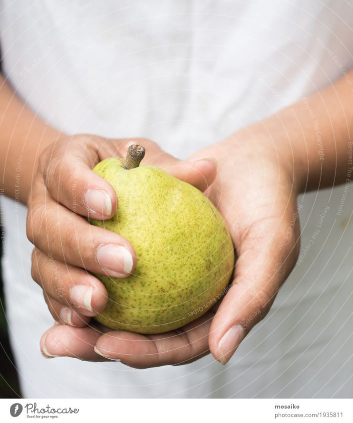 Nahaufnahme von Händen - Frau hält eine gelbe Birne Frucht Vegetarische Ernährung Diät Sommer Garten Erntedankfest Gartenarbeit Mensch feminin Erwachsene Hand