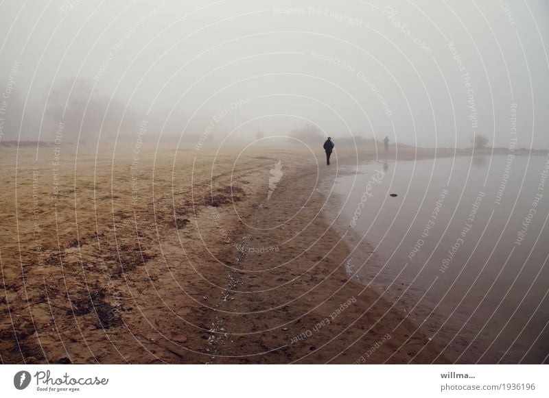 november... Ausflug Mensch schlechtes Wetter Nebel Seeufer Dümmer See trist Sandstrand kalt Farbfoto Außenaufnahme