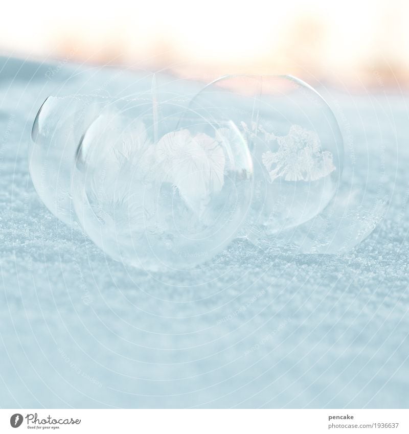 glück und glas Design Glück Spielen Landschaft Winter Eis Frost Schnee schön Seifenblase Eisblumen Schneelandschaft Glaskugel Globus gefroren zerbrechlich