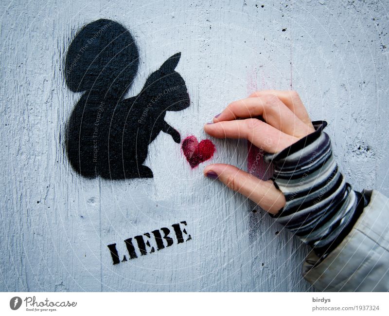 Eichhörnchen verteilt Herzen, Grafitti an einer Wand. Menschliche Hand mot Interaktion  . Liebe Liebe schenken feminin Frau Erwachsene Handschuhe Tier Graffiti