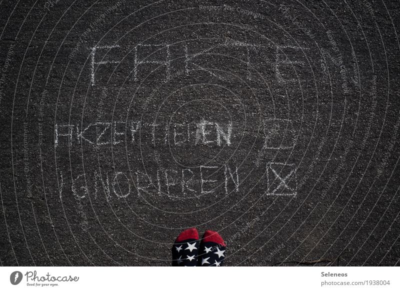 Fakten, Fakten, Fakten Fuß Strümpfe Zeichen Schriftzeichen Schilder & Markierungen Hinweisschild Warnschild Graffiti sprechen Kommunizieren Wahrheit Ehrlichkeit