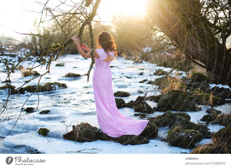 Fee Mensch feminin Junge Frau Jugendliche Erwachsene 1 18-30 Jahre Umwelt Natur Landschaft Winter Schönes Wetter Eis Frost Baum Flussufer Bach Kleid brünett