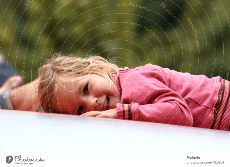 Ein Lächeln geht noch.... Freude Spielen Ausflug Mensch Kleinkind Mädchen 1 3-8 Jahre Kind Kindheit Natur Schönes Wetter Sträucher Park Pullover blond Erholung