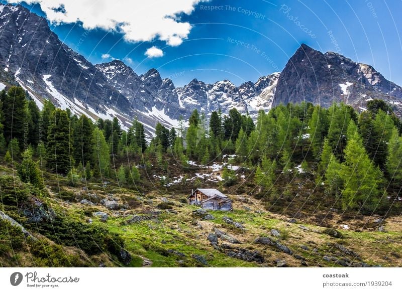 Alpenhütte am Berglisee Natur Landschaft Himmel Frühling Baum Gras Felsen Berge u. Gebirge Menschenleer Hütte Erholung kuschlig wild blau grün Einsamkeit urig