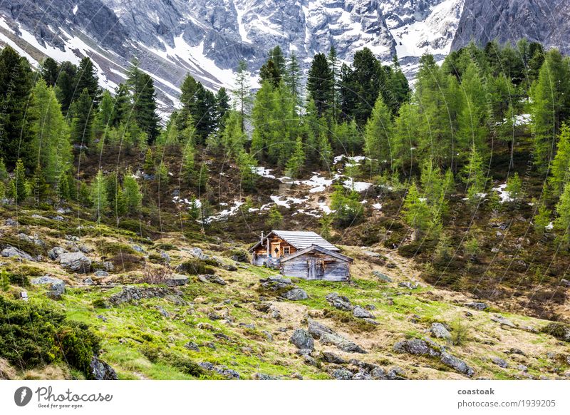 Berghütte nahe des Berglisees Pflanze Frühling Baum Gras Felsen Alpen Berge u. Gebirge Menschenleer Hütte Erholung blau grün urig Einsamkeit abgelegen Refugium