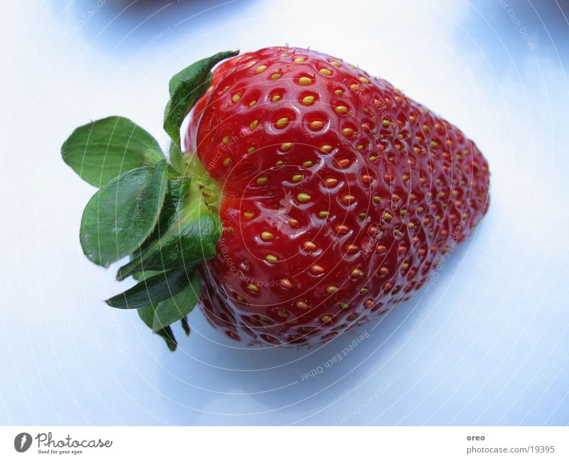 Strawberry #1 Nahaufnahme Gesundheit strawberry