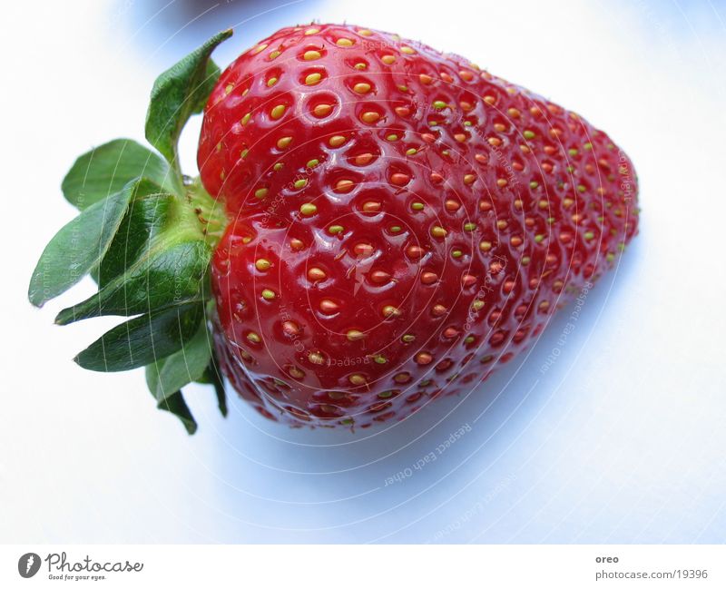 Strawberry #2 Nahaufnahme Gesundheit strawberry