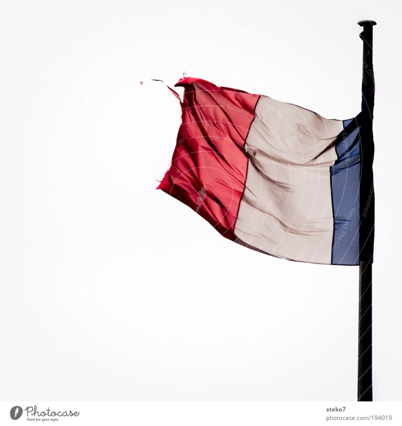Vive la Franze Fahne loyal Übermut Paris Frankreich Tricolore verschlissen Sturm Wind Franzosen ausfranzen verweht flattern Abnutzung Krisenstimmung Farbfoto