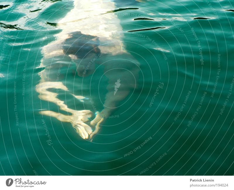 Abkühlung maskulin Sport Mann Brustschwimmen Wasser grün Hand See Vulkankrater Eifel auftauchen Sommer abkühlung Erfrischung Bootsfahrt heiß Wärme sanft gleiten