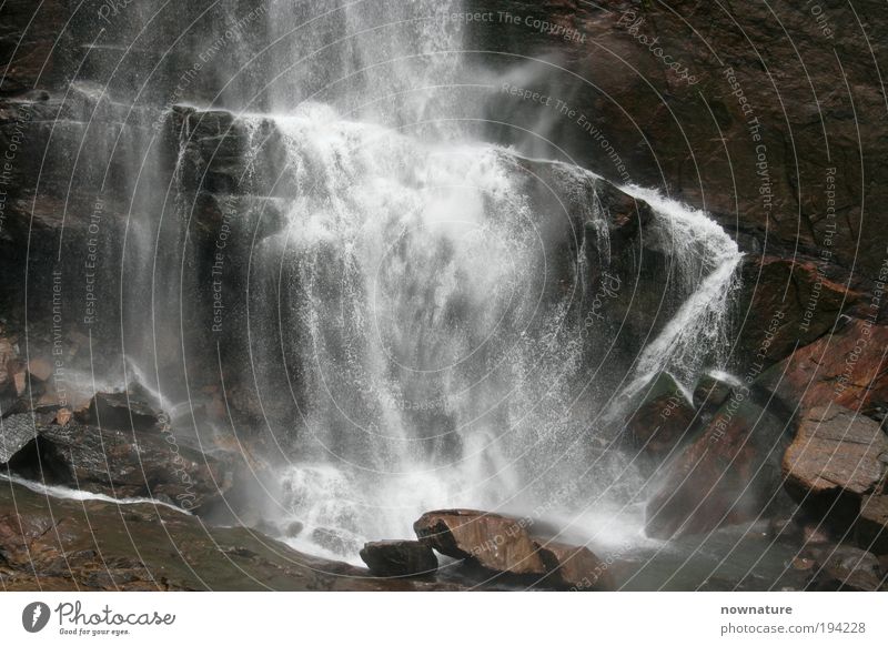 Ramboda Wasserfall Umwelt Natur Urelemente Urwald Felsen Stein authentisch wild Sri Lanka Hochebene Südasien Südostasien Asien Ramboda-falls Central Province