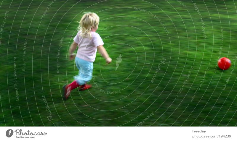 ::: Training für die WM 2026 ::: Spielen Freude Gras Wiese Fußballplatz Sport Kind Mädchen Ausdauer Kleinkind Schuss Ball Kindheit rennen laufen Lebensfreude