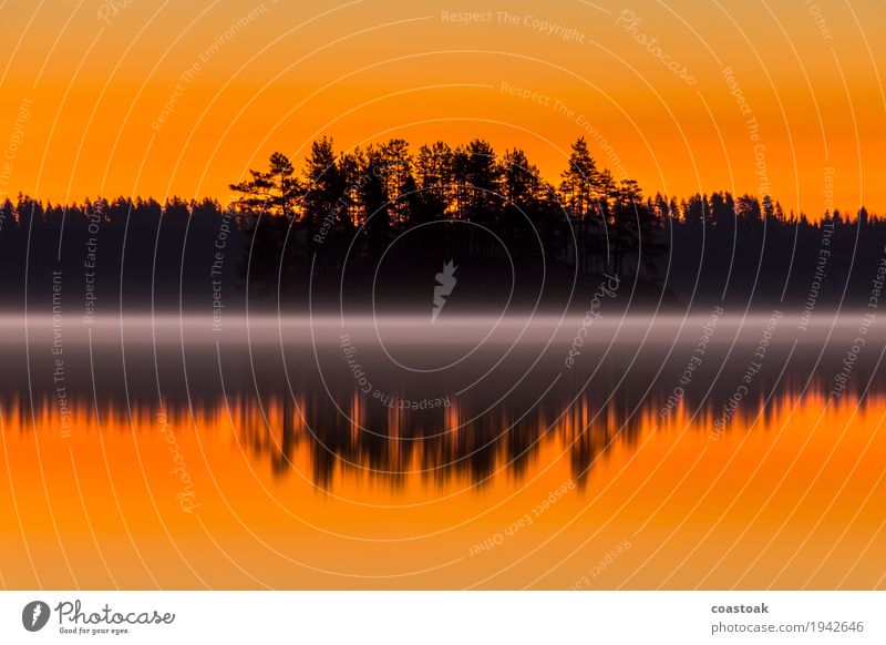 Morgendunst am Salajärvi Natur Landschaft Wasser Wolkenloser Himmel Sonnenaufgang Sonnenuntergang Herbst Schönes Wetter Baum Seeufer Finnland fantastisch kalt