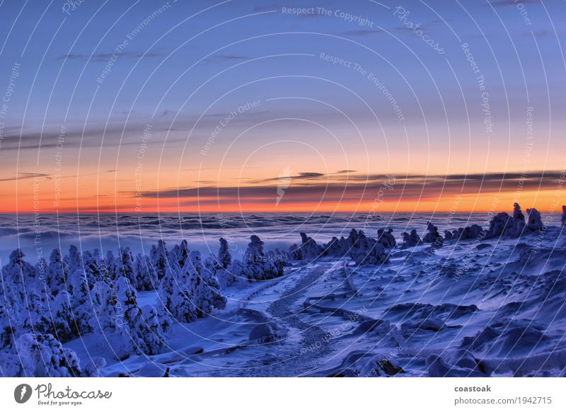 Morgenaussicht vom Brocken Natur Landschaft Himmel Wolken Sonnenaufgang Sonnenuntergang Winter Eis Frost Berge u. Gebirge Gipfel Wege & Pfade frisch kalt blau