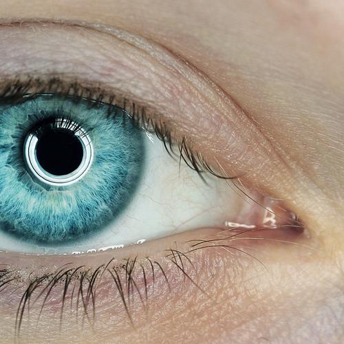 Tiefseetaucher Mensch feminin Junge Frau Jugendliche Erwachsene Haut Kopf Auge 1 18-30 Jahre Blick Blitz Ring Ringblitz Iris blau Tiefe schön wunderschön