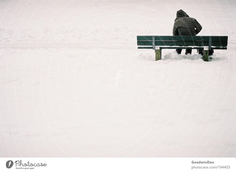 Analoge Einsamkeit Umwelt Natur Klimawandel Wetter Schönes Wetter Schnee Bank atmen Denken genießen nachhaltig grün Gefühle Stimmung Sorge Sehnsucht