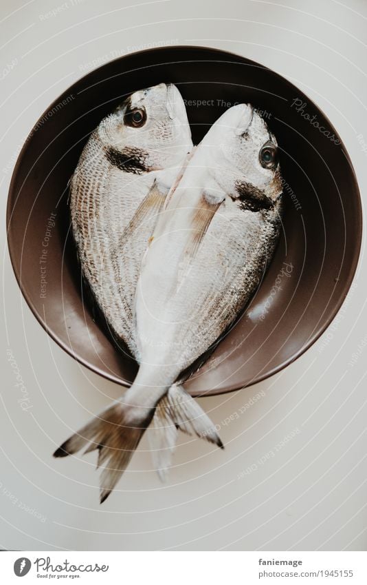 frische Fische Lebensmittel Ernährung Essen Mittagessen gut Gesundheit mediterran Dorade lecker Fischmarkt Teller Schuppen Tod braun 2 fischig glänzend