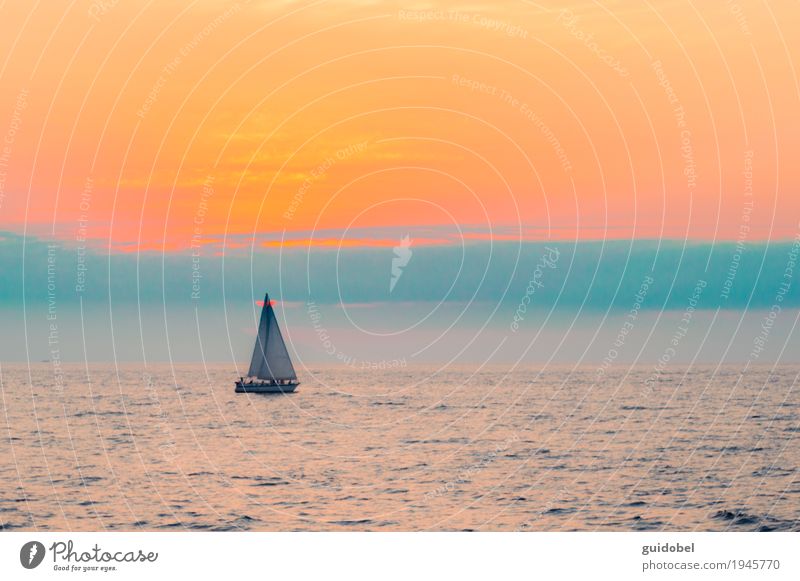 Segelboot im Ozean Umwelt Natur Landschaft Wasser Himmel Sonnenaufgang Sonnenuntergang Schönes Wetter Küste Meer Verkehr Wasserfahrzeug Fröhlichkeit